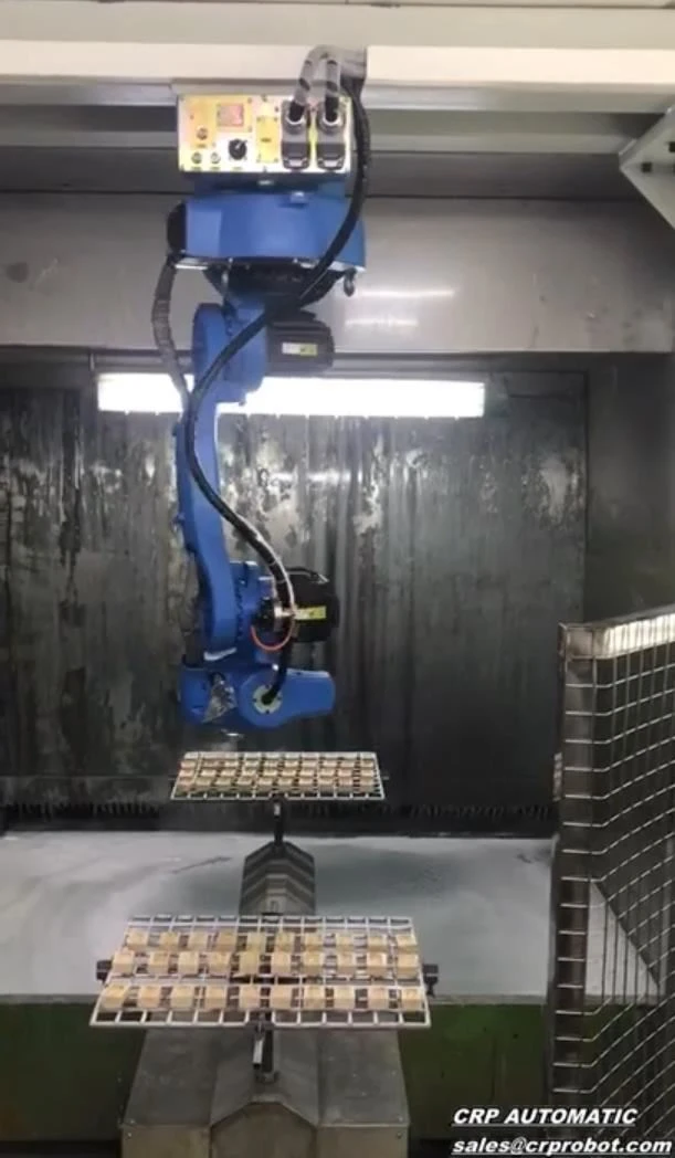 CROBOTP robotų apipurškimo apversta programa